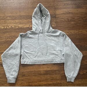 Alo Gray Cropped Hoodie